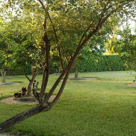 Palm Village 134 Paramaribo Exterior photo