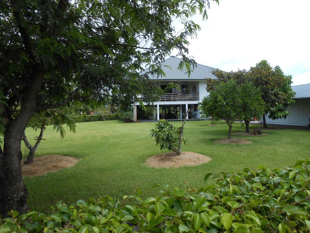 Palm Village 134 Paramaribo Exterior photo