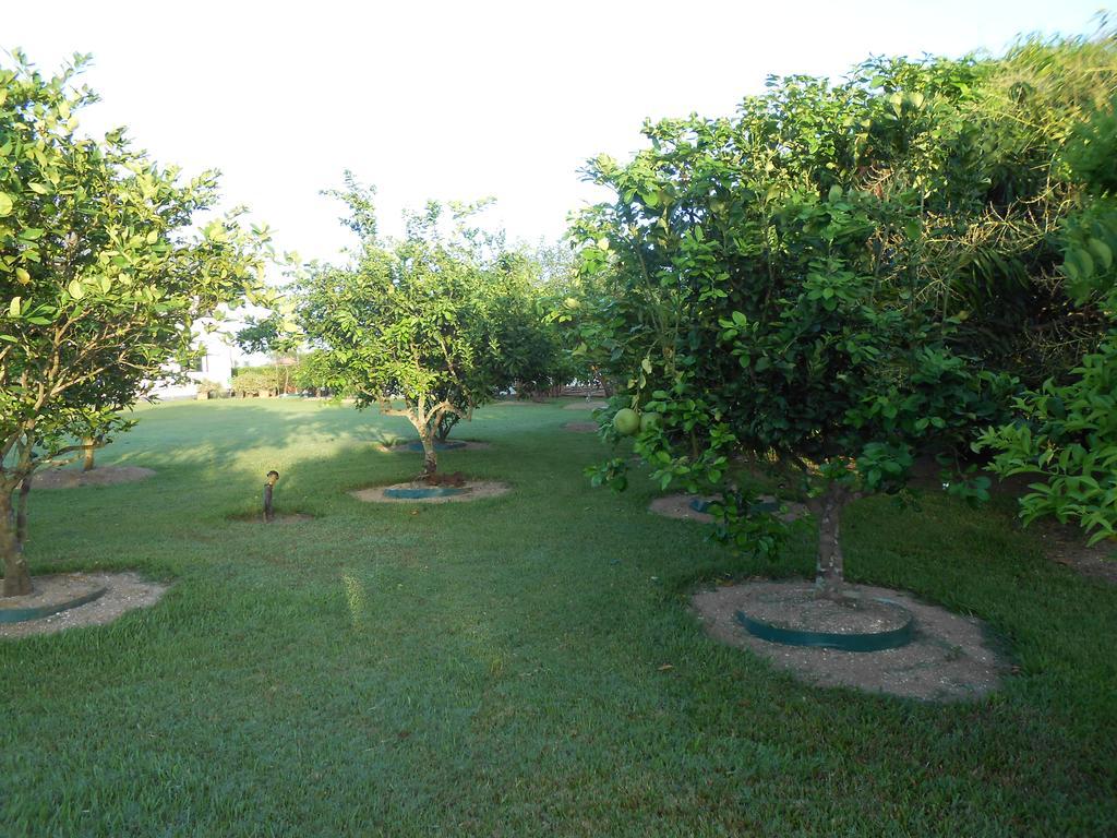 Palm Village 134 Paramaribo Exterior photo